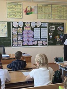Единые уроки, посвященные Дню семьи (14.05.2026)