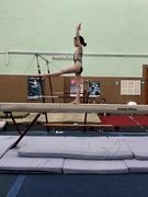 Первенство Оршанского района по гимнастике спортивной.