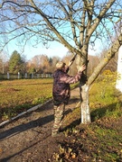 Трудовой десант