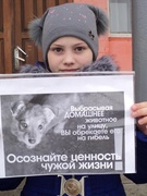 Акция "Бездомные животные - проблема каждого из нас!"
