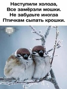 Акция "Зернышко пернатому другу"