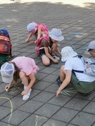 Оздоровительный лагерь "Колосок": 5-й день "День ПДД"