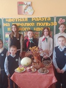 Цветная радуга на тарелке