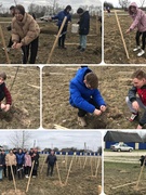 07.04.2023 Удзел вучняў 8-9 класаў у акцыі «Тыдзень лесу»