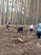 Акция "Дай лесу новае жыцце"