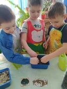 Садим огород
