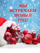 Мы встречаем Новый год!