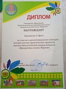 Возвращение из "Зубрёнка"