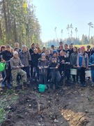 Акция «Дай лесу новую жизнь»