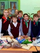Акция "Поможем четвероногому другу"