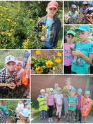 18.07.2023 Знаёмства з лекавымі раслінамі падчас прагулкі па в. Макарычы