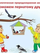 Акция "Поможем пернатому другу"