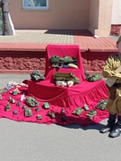 Выставки на площади 9 Мая 24 г.