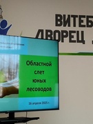 Областной слет юных лесоводов