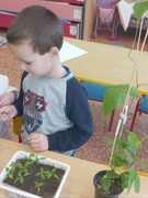 Расскажи-покажи