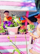 Трудовая деятельность на участке летом : полив растений на клумбе и огороде