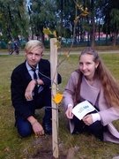 Рябиновая аллея "В единстве сила"