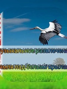 Музыкальное развлечение "Зямля пад белымі крыламі"