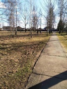 Санитарный день