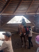 Увлекательная экскурсия в контактный зоопарк «Лошадиный рай»