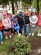 Посадим дерево вместе