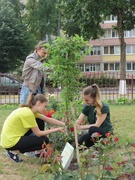 Акция "Обустроим малую родину"