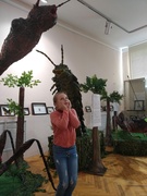 Вясеннія канікулы