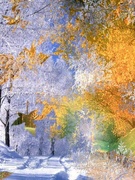 Гузовская Анастасия Васильевна