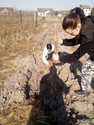 Акцыя "Нядзеля леса"