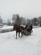 Шестой школьный день 19.01.2019