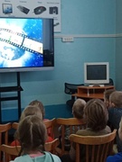 Любимые мультики