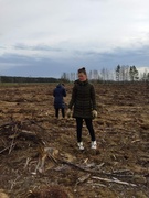 Неделя леса - 2022