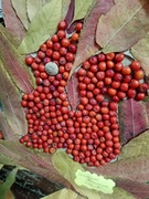 Выставка совместного творчества "Осенние фантазии"