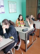 Беседа на тему " Беларусь - страна мира, дружбы и добрососедства" прошла в 9 классе