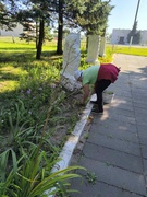 Областной субботник