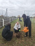Единый день озеленения