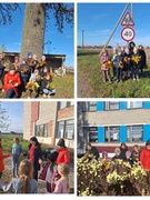Воспитательно-оздоровительный лагерь. День второй