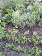 Формула сада-2015