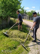 Трудовая занятость. Волонтерский отряд "Доброе сердце"