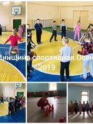 Минщина спортивная