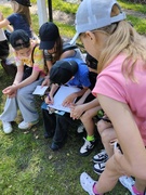 Лагерь "Краски лета" 2025