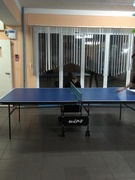 Волейбол между учащимися,педагогами и законными представителями