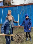 Природоохранная  акция «Посади дерево»