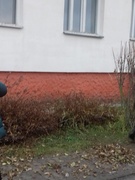Акция "Наш двор - наша забота"