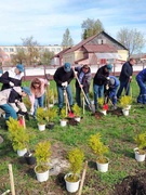 16.04.2024 г. Участники патриотического клуба "Юный гвардеец"  приняли участие в  подготовительной работе к закладке Аллеи Героев-лётчиков