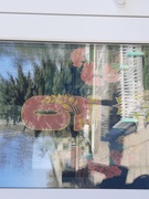 Окна Победы
