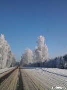 Новогодние пейзажи из окна автомобиля и не только)) 31.12.2015 г.