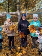 Экскурсия  "Осенние изменения в природе"