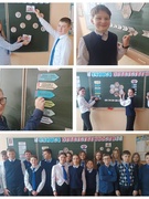 Реализация информационно-образовательного проекта «Школа Активного Гражданина» 7 Б класс