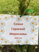 Аллея Семейного Единства